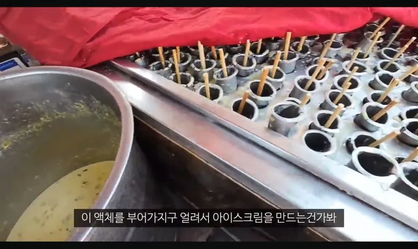 여행 유튜버 누나의 인도 길거리 음식 체험