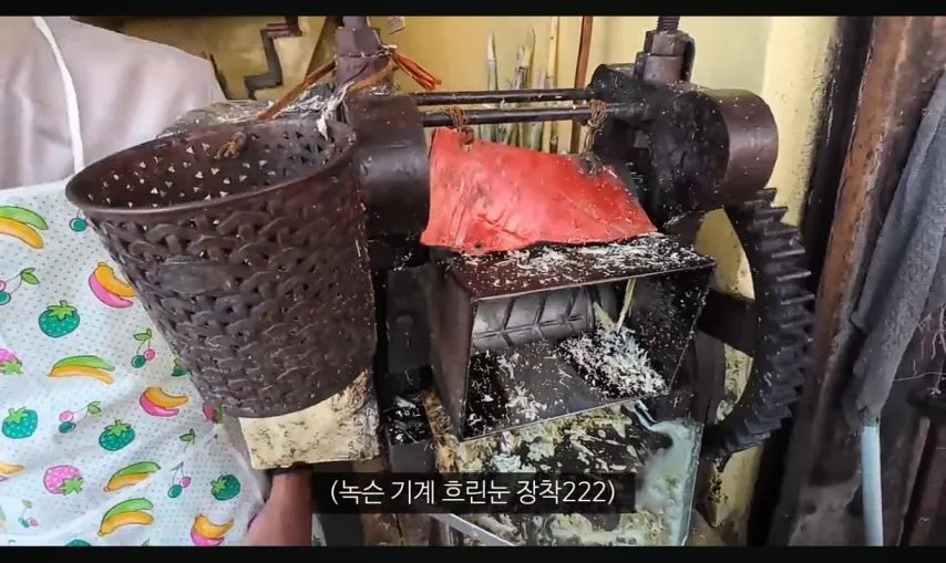 여행 유튜버 누나의 인도 길거리 음식 체험