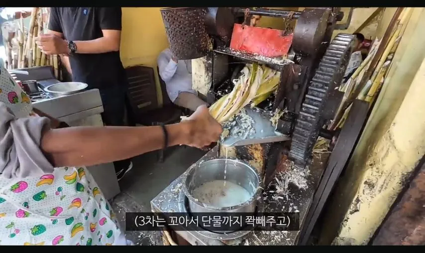 여행 유튜버 누나의 인도 길거리 음식 체험