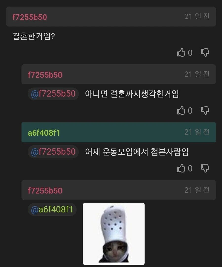 삶은 계란 못깐다고 구박당해 이혼 생각중인 개붕이