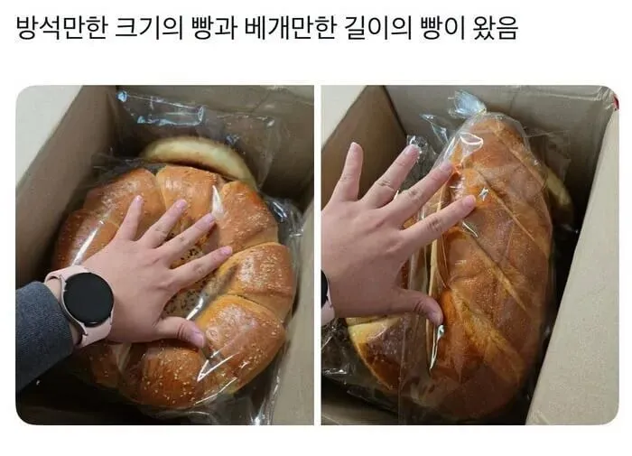 광주 고려인마을에서 파는 만화에 나올거 같은 빵