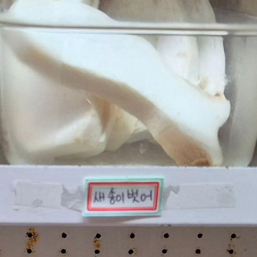 마라탕집 대참사 ㄷㄷ