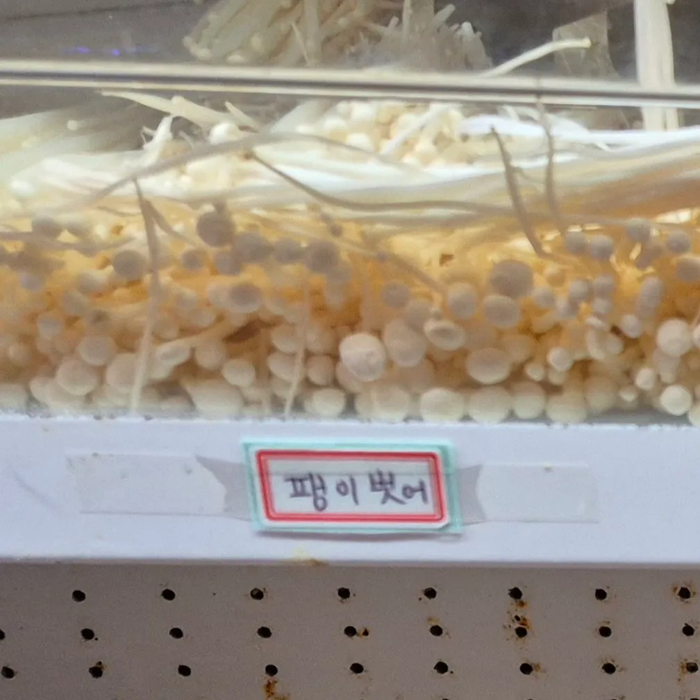 마라탕집 대참사 ㄷㄷ