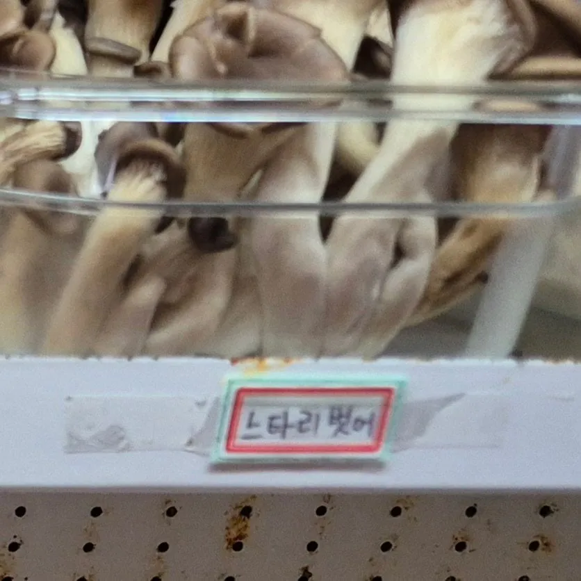 마라탕집 대참사 ㄷㄷ