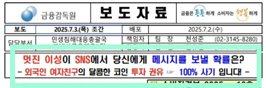 금감원 오피셜 경고문
