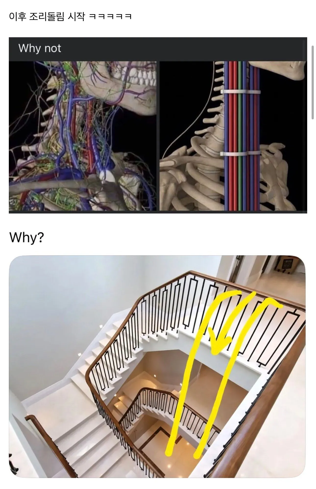 외국 why 밈 ㅋㅋ