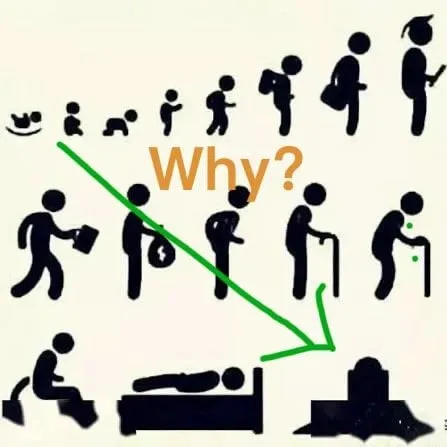 외국 why 밈 ㅋㅋ