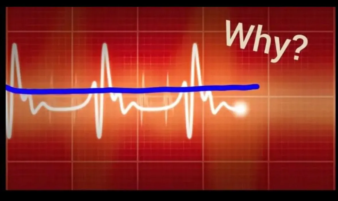 외국 why 밈 ㅋㅋ