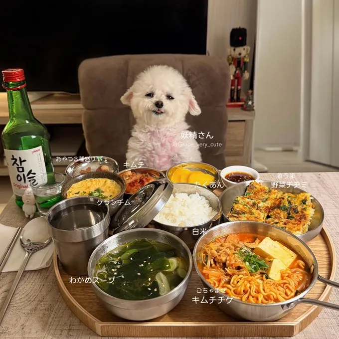 일본인이 생각하는 한식