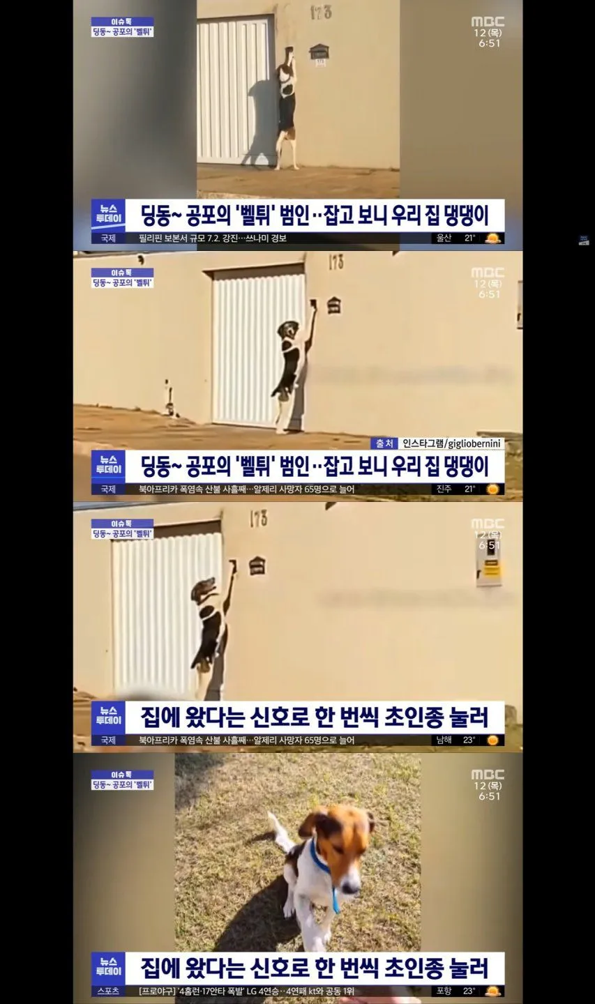 계속 벨튀하던 범인 드디어 잡음