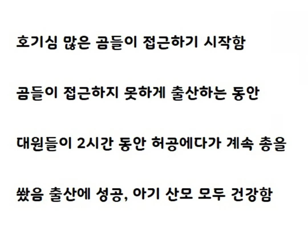 가장 러시아다운 뉴스.jpg