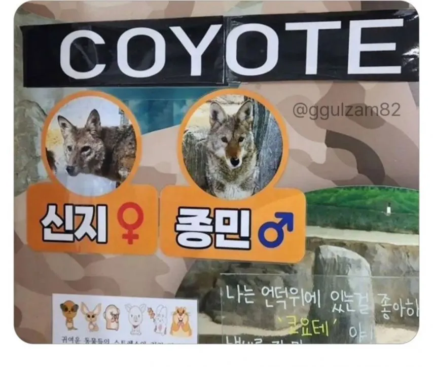 동물원 작명 레전드