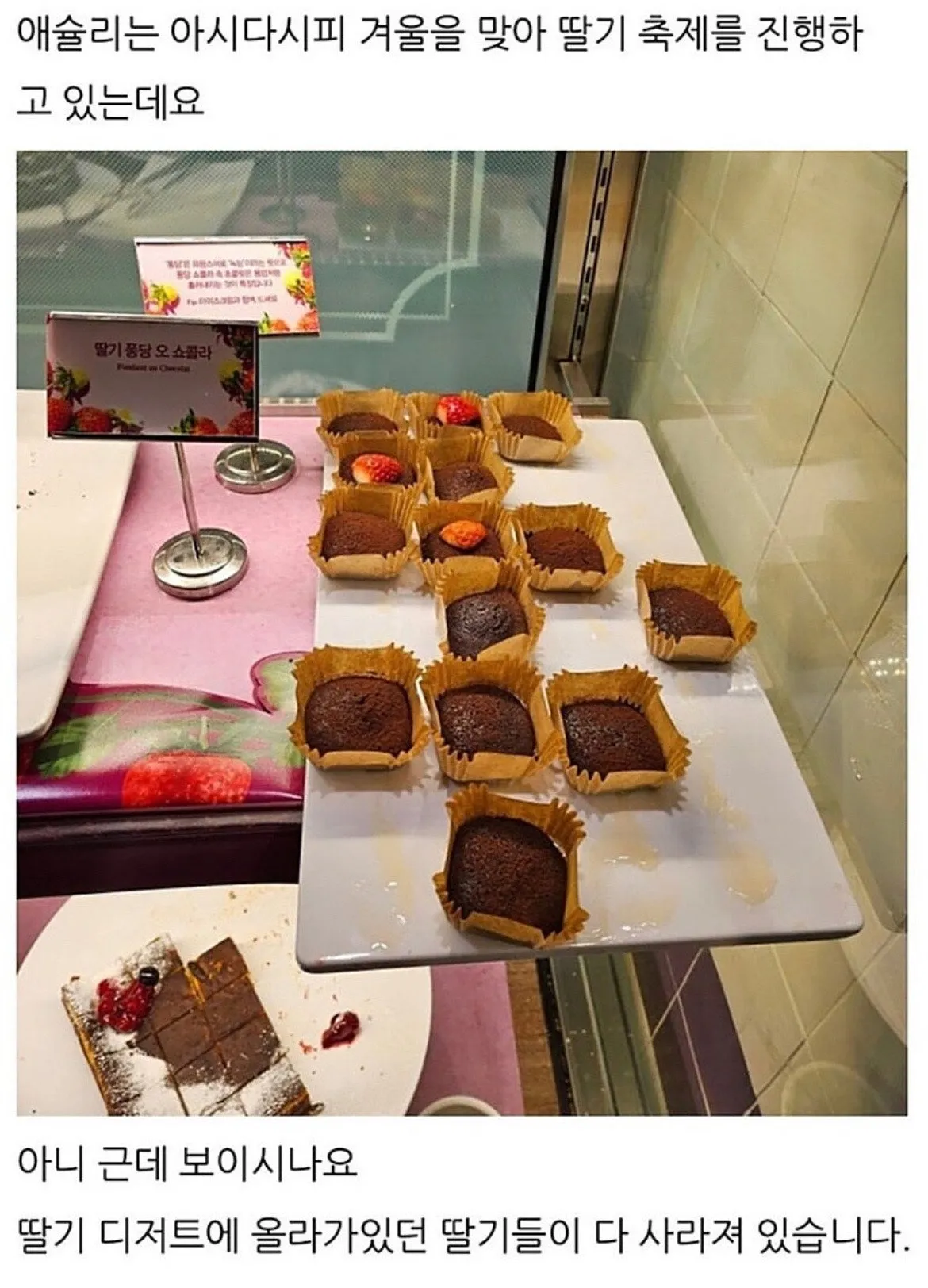 배찌 같은 새끼가 나타난 애슐리