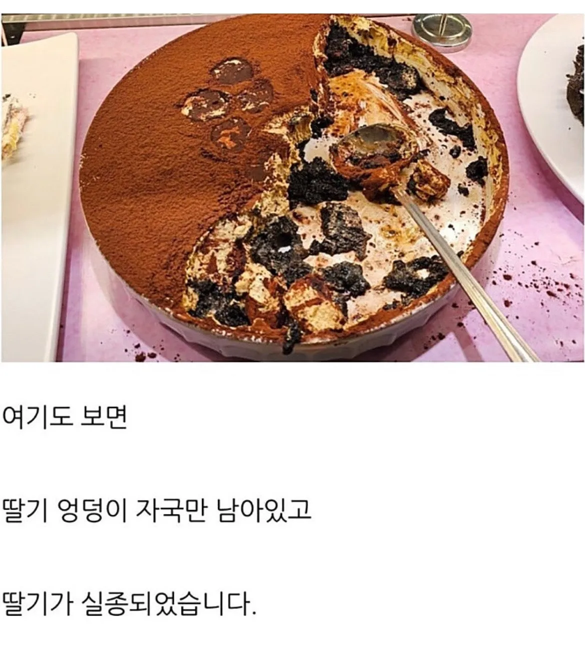 배찌 같은 새끼가 나타난 애슐리