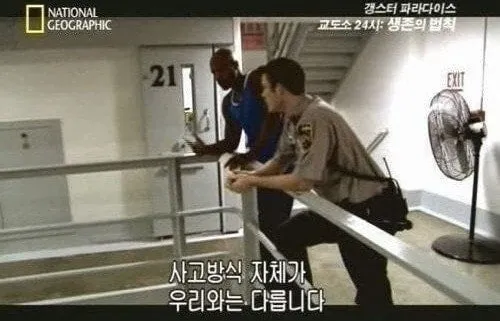 혈압주의) 사고방식이 완전히 다릅니다 - 썰