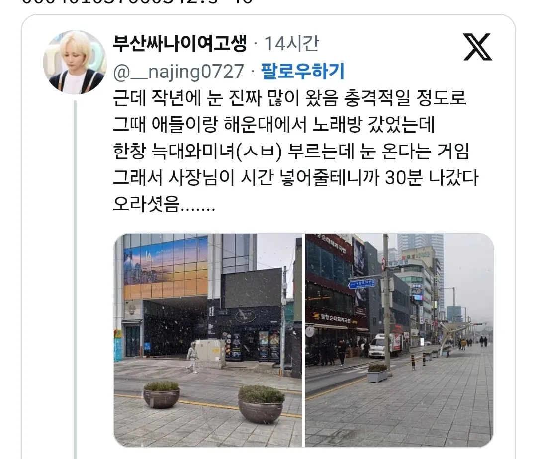 작년 부산 폭설 사진.jpg