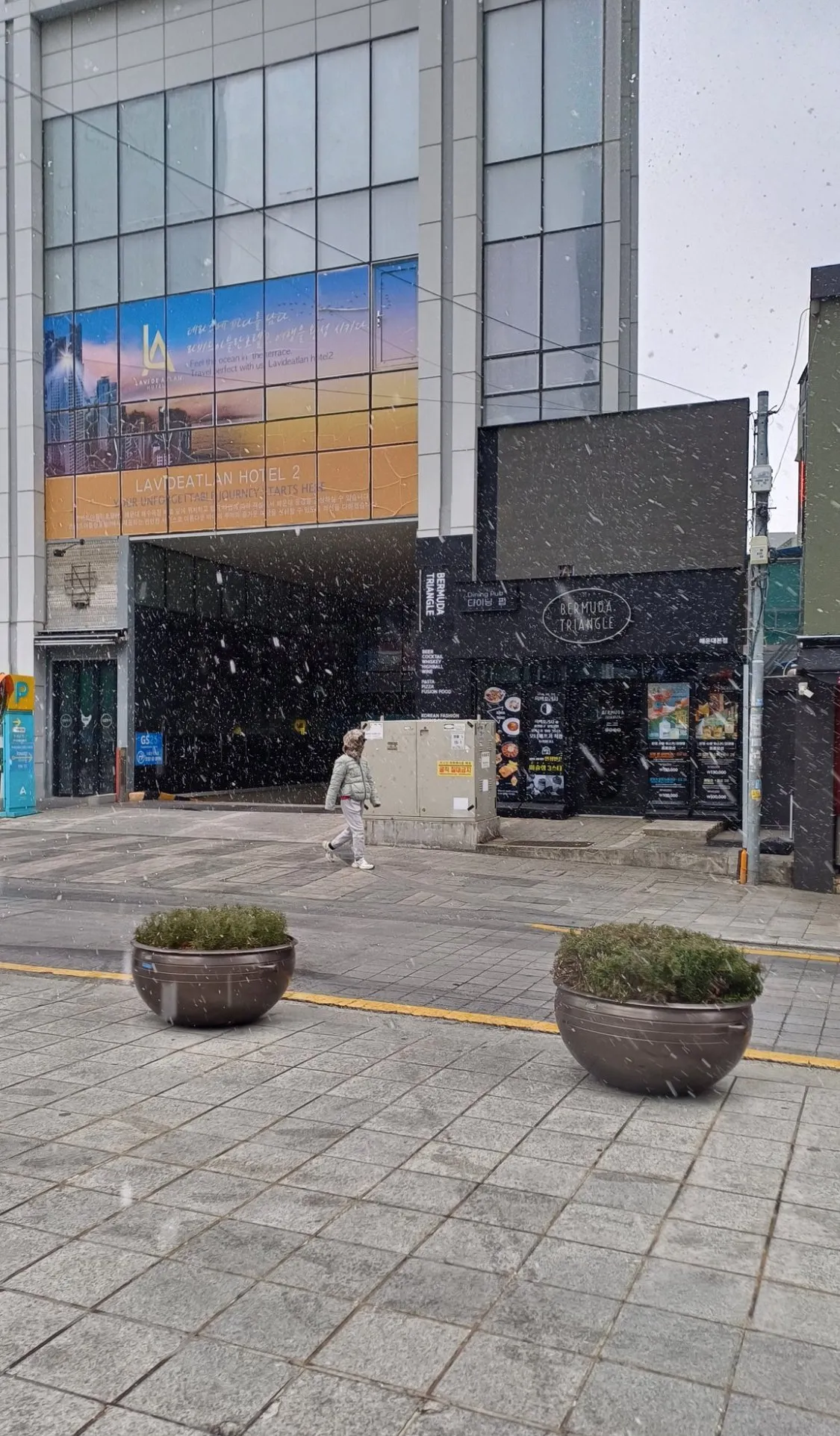 작년 부산 폭설 사진.jpg