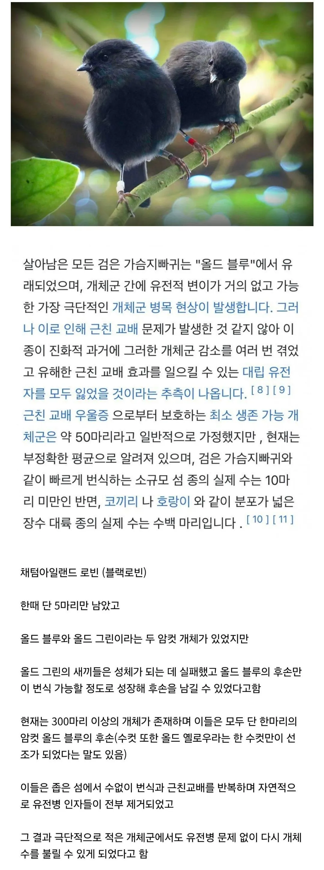 무제한근친교배의 결과물
