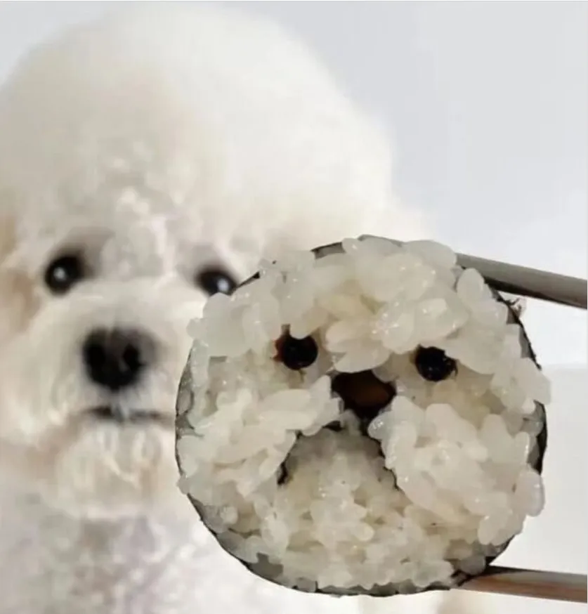 개 맛있어 보이는 김밥.