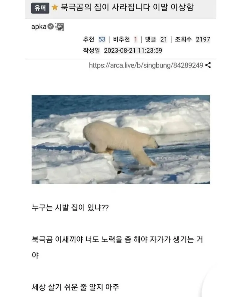 북극곰의 집이 사라집니다 << 이 말 이상함.jpg