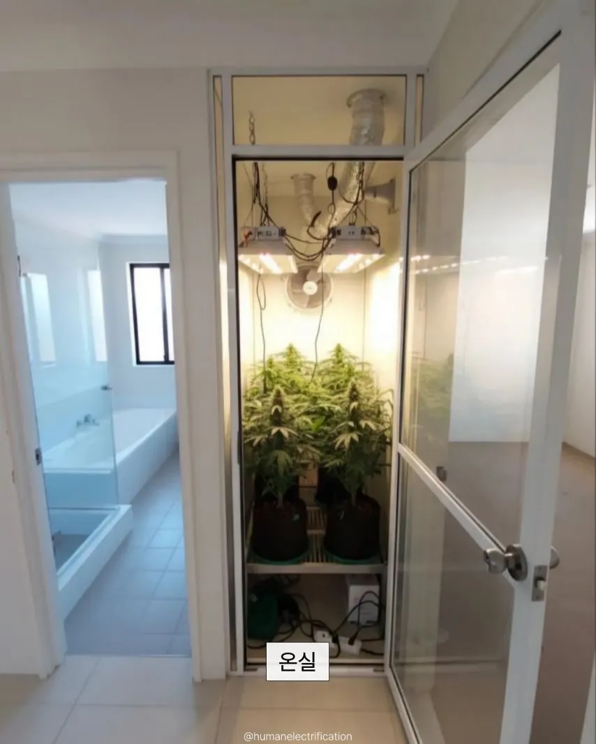 집안 애매한 공간 활용법.jpg