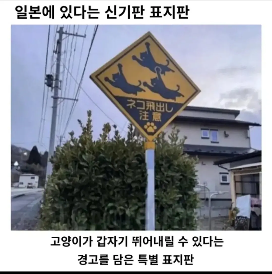 일본식 근들갑 표지판.jpg