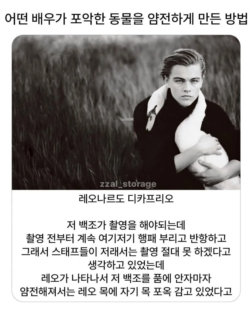 길냥이가 나만 보면 도망치는 이유