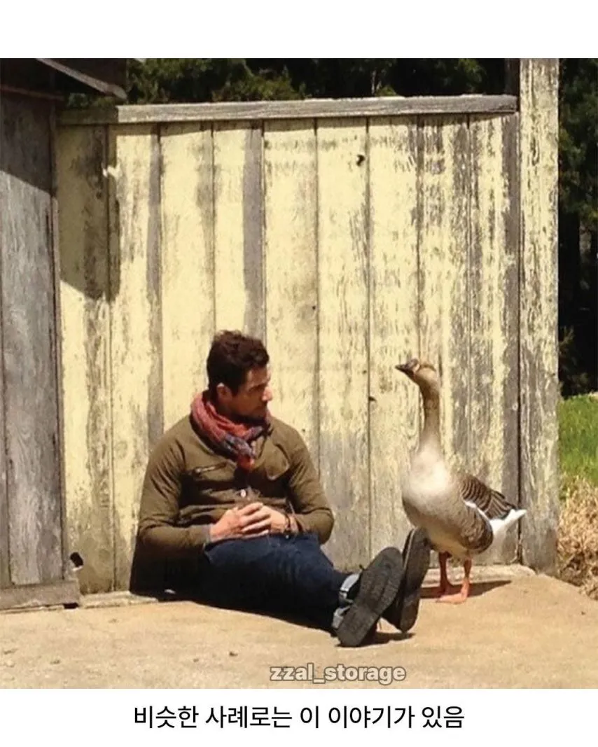 길냥이가 나만 보면 도망치는 이유