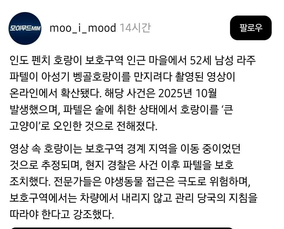 술마시고 ㄹㅇ 호랑이 쓰다듬은 남자 ㄷㄷㄷ;;