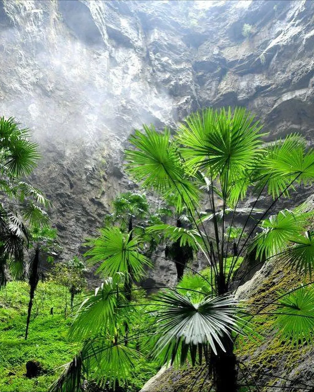 중국에서 발견 된 산 속의 거대 싱크홀
