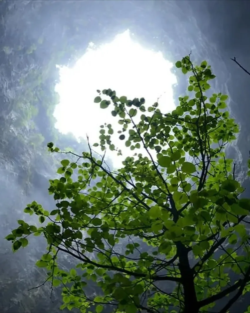 중국에서 발견 된 산 속의 거대 싱크홀