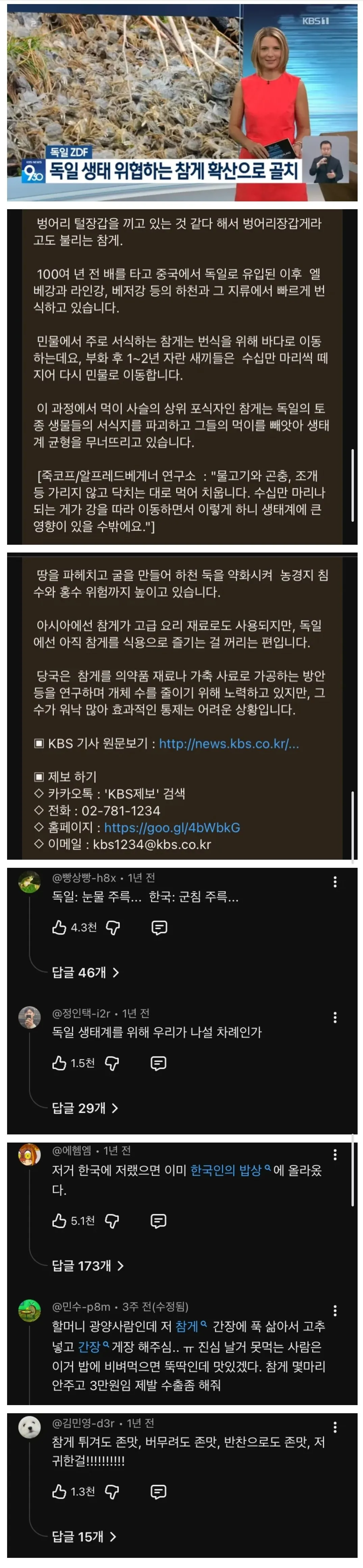 참게 때문에 고통받는 독일이 이해 안되는 한국인들