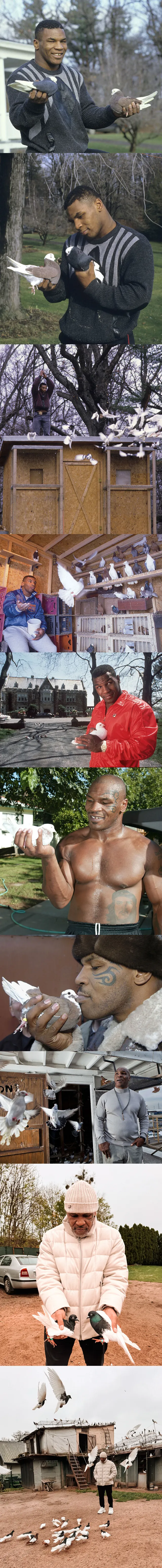 마이크 타이슨이 지금도 즐기는 취미