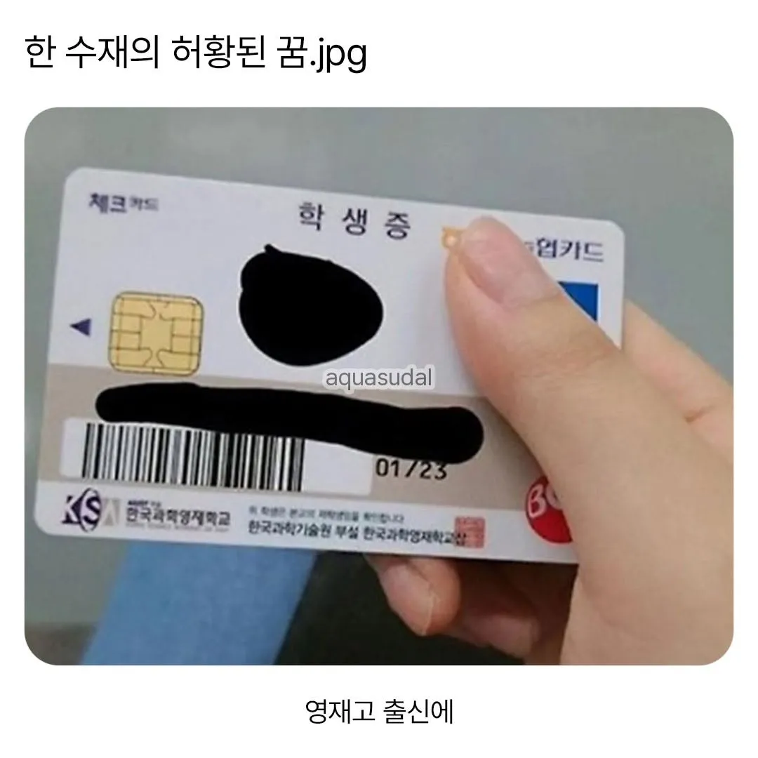 한 수재의 허황된 꿈.jpg