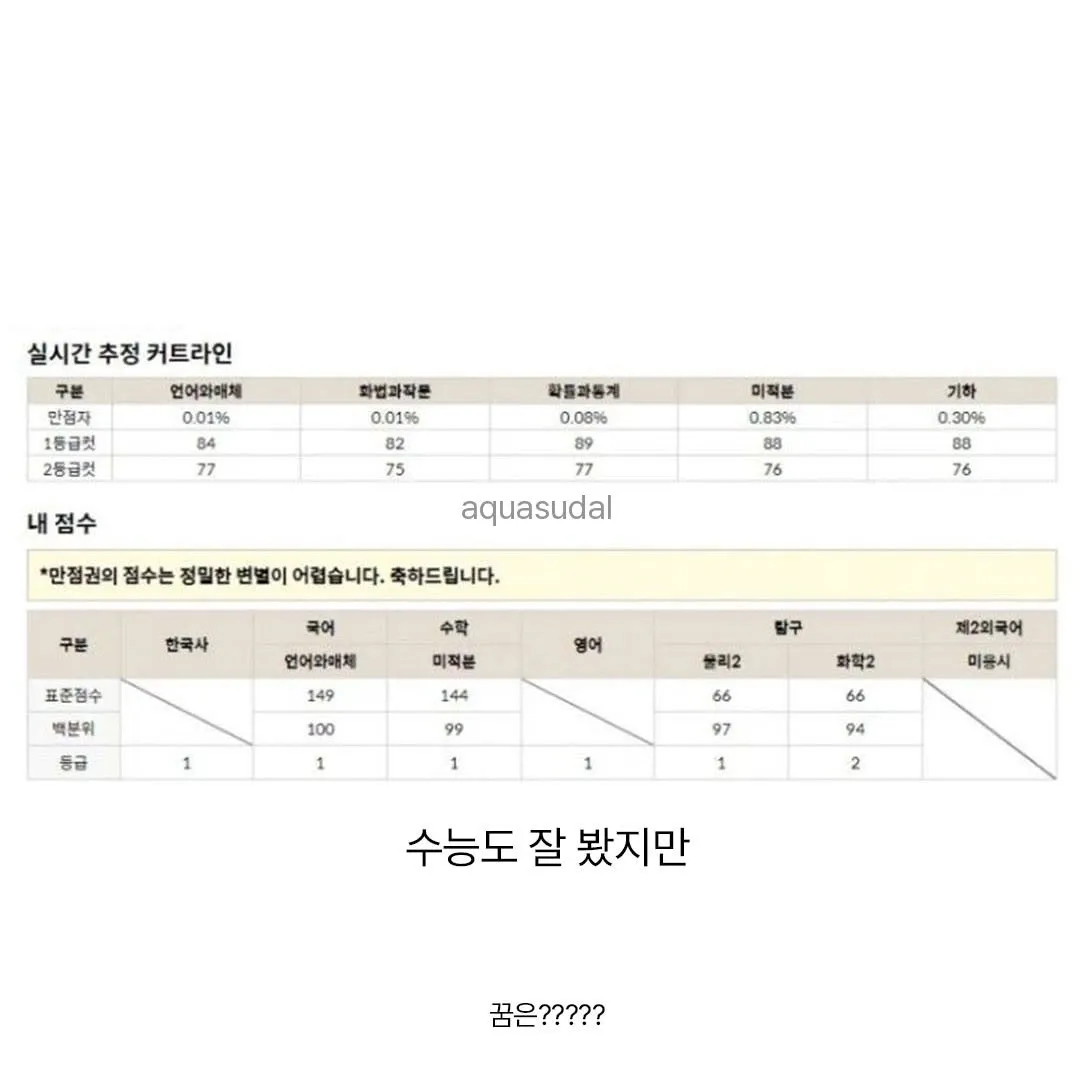 한 수재의 허황된 꿈.jpg