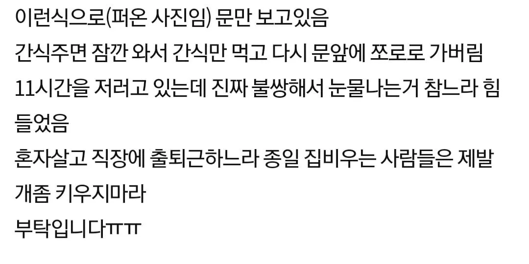 회사에 출퇴근 하는 1인가구는 개 좀 키우지마라