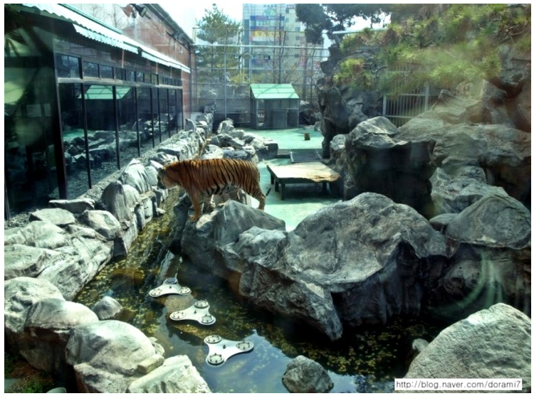 옛날 부산 롯데호텔에 호랑이 살았다고 하면 아무도 안믿음