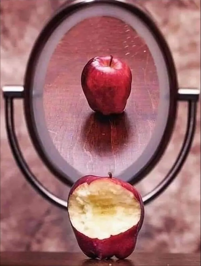 메시지가 있는 일러스트들.jpg