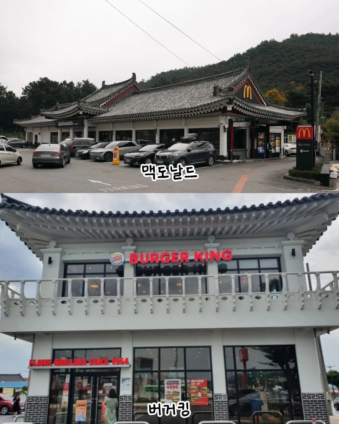 대한민국 컨셉질의 도시 1황