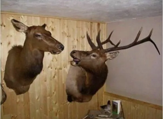 ???: 시발려나 내가 호숫가에 가지 말자고 했지?