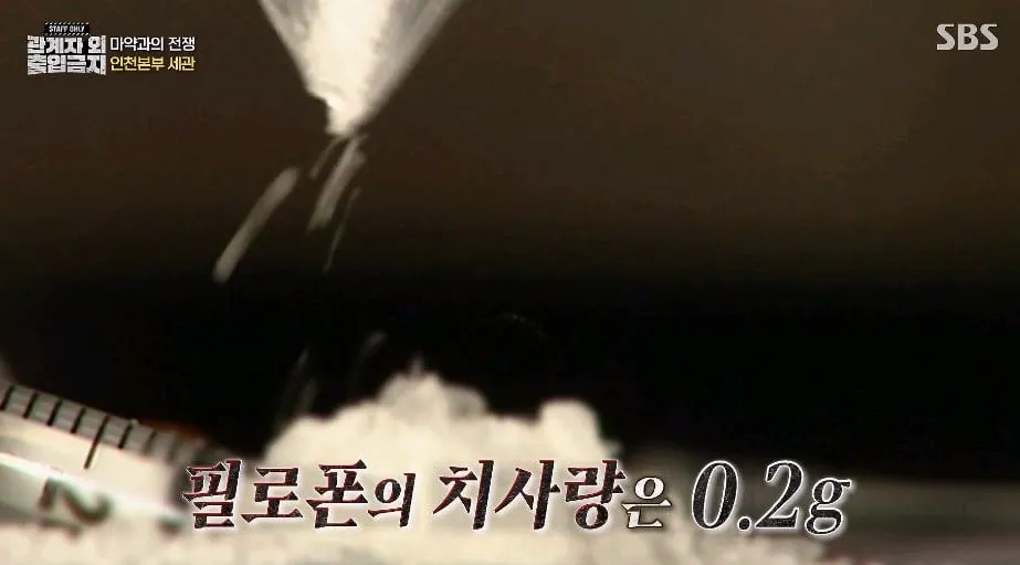 영화를 너무 많이 본 작가