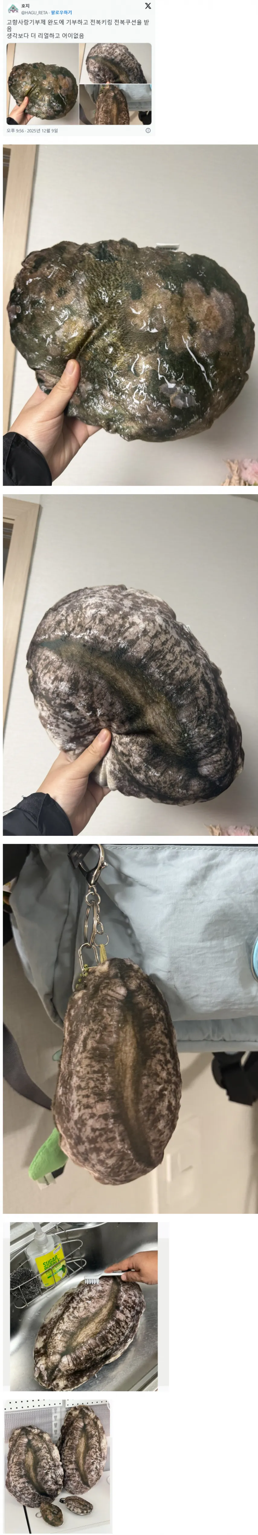 완도에 기부하면 주는 전복쿠션.jpg