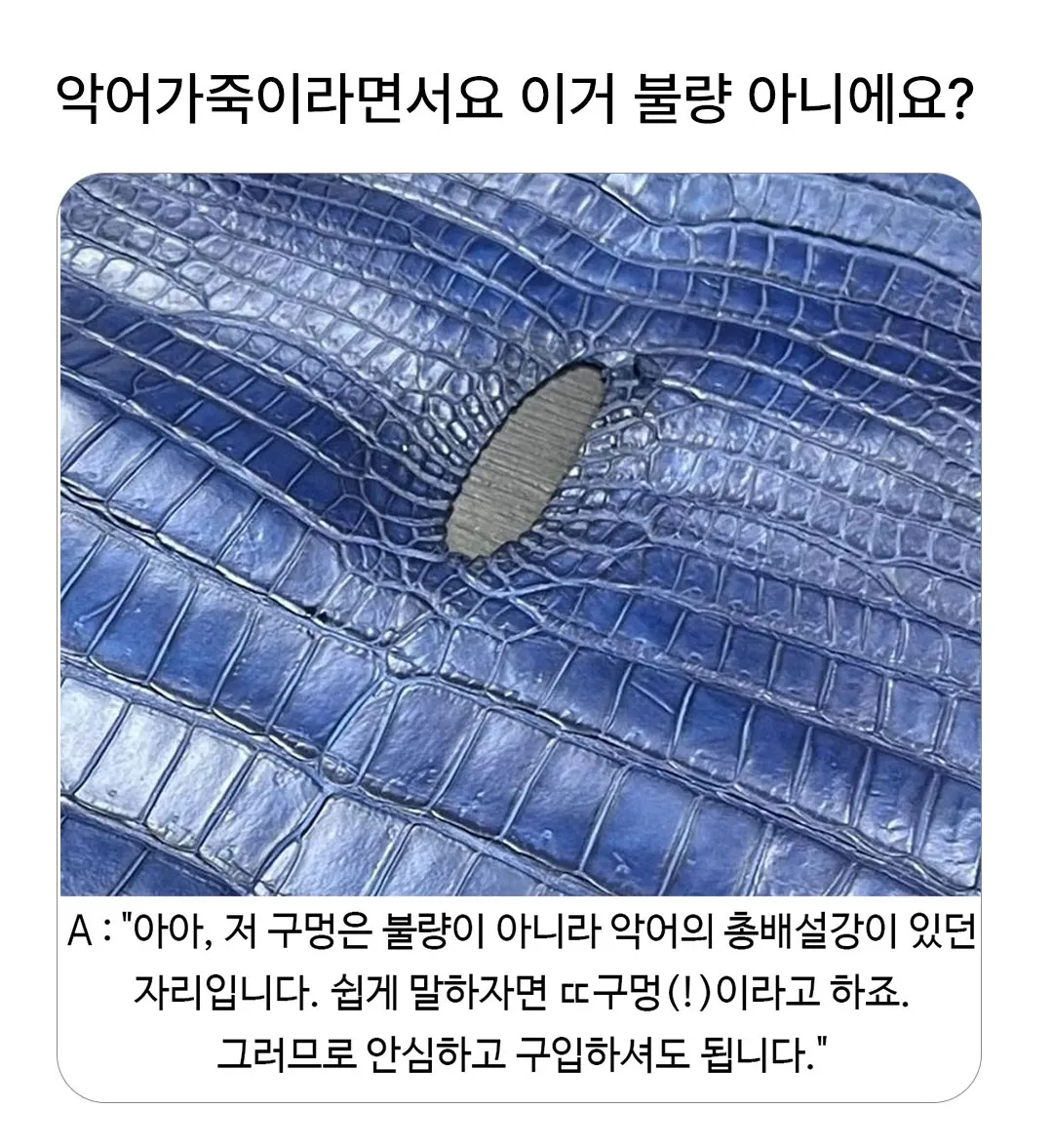 이 악어가죽 불량 아닌가요?.jpg
