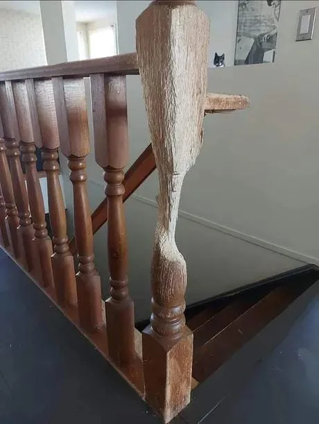 11년 걸린 나뭇조각 작품