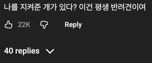 🐶    모르는 개의 머리를 쓰다듬어 줬는데 뭔가 이상함을 느낀 사람  🤔