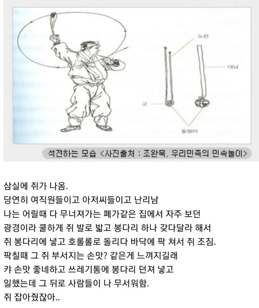 사무실 쥐포 장인