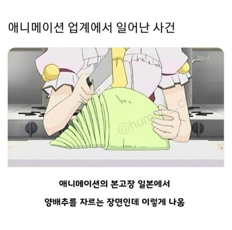 애니메이션 업계에서 양배추란?