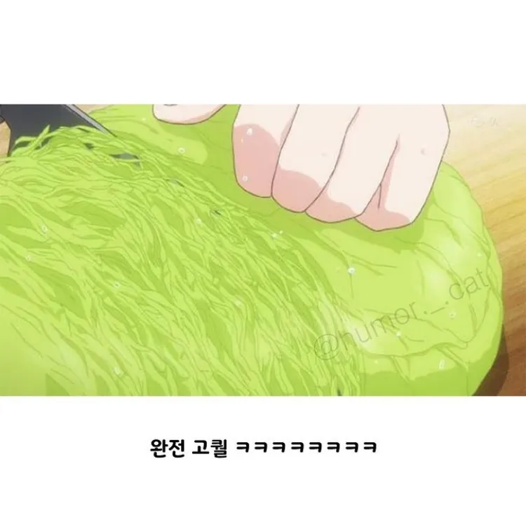 애니메이션 업계에서 양배추란?