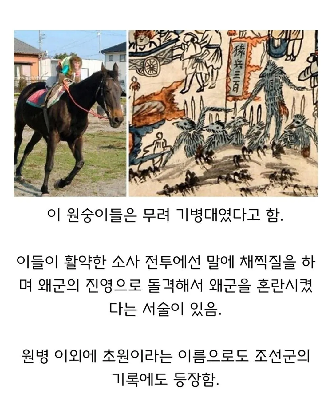 임진왜란 당시 실존했던 부대