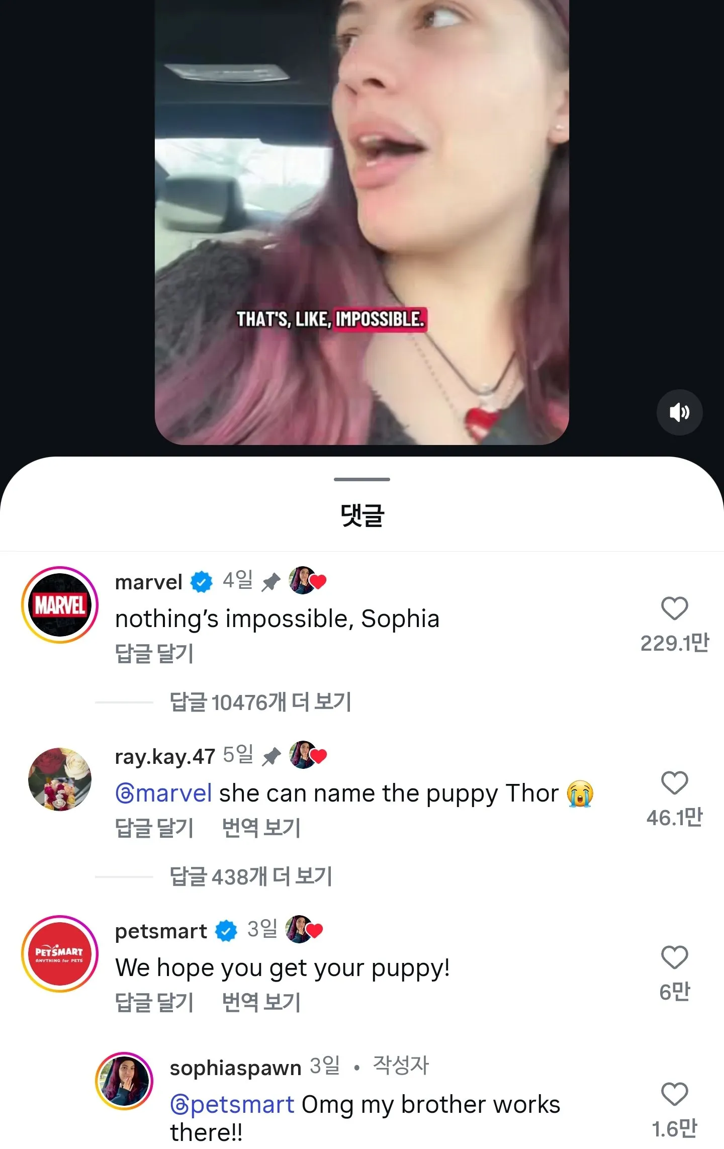 엄마 좋아요 몇 개 받으면 강아지 키우게 해줄거예요?